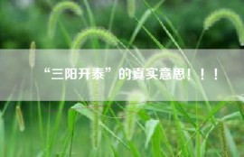 “三阳开泰”的真实意思！！！