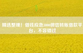 精选整理！借钱应急3000微信转账借款平台，不容错过