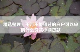 精选整理！千万不能错过的白户可以申请什么贷款小额贷款