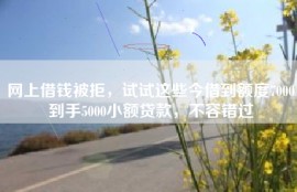 网上借钱被拒，试试这些今借到额度7000到手5000小额贷款，不容错过