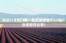 网贷口子热门篇：精选整理哪个app可以快速借钱名单！