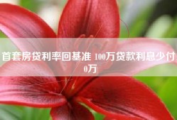 首套房贷利率回基准 100万贷款利息少付10万
