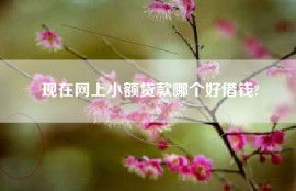 现在网上小额贷款哪个好借钱?