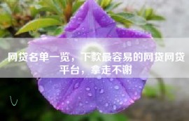 网贷名单一览，下款最容易的网贷网贷平台，拿走不谢
