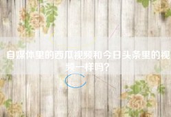 自媒体里的西瓜视频和今日头条里的视频一样吗？