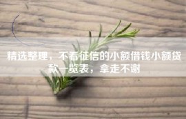 精选整理，不看征信的小额借钱小额贷款一览表，拿走不谢