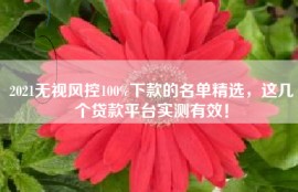 2021无视风控100%下款的名单精选，这几个贷款平台实测有效！
