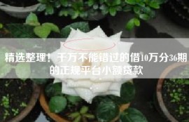 精选整理！千万不能错过的借10万分36期的正规平台小额贷款