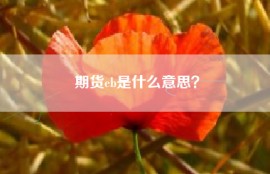 期货eb是什么意思？