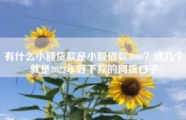 有什么小额贷款是小额借款3000？这几个就是2022年好下款的网贷口子