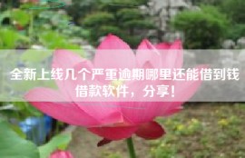全新上线几个严重逾期哪里还能借到钱借款软件，分享！