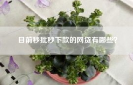 目前秒批秒下款的网贷有哪些？