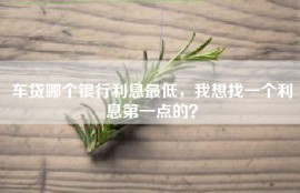 车贷哪个银行利息最低，我想找一个利息第一点的？