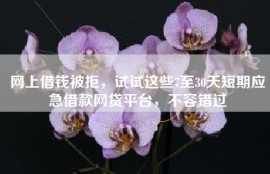 网上借钱被拒，试试这些7至30天短期应急借款网贷平台，不容错过