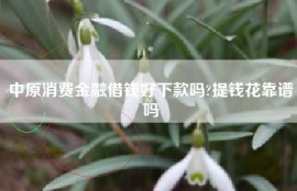 中原消费金融借钱好下款吗?提钱花靠谱吗