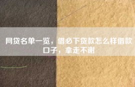 网贷名单一览，借必下贷款怎么样借款口子，拿走不谢
