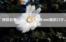 网贷名单一览，私人急用10000借款口子，拿走不谢