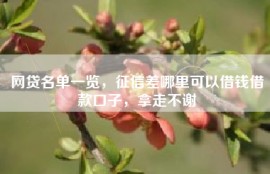 网贷名单一览，征信差哪里可以借钱借款口子，拿走不谢