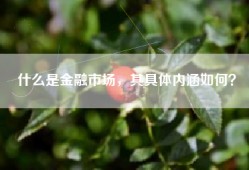 什么是金融市场，其具体内涵如何？