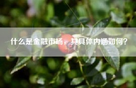 什么是金融市场，其具体内涵如何？