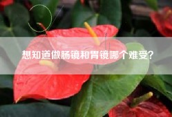 想知道做肠镜和胃镜哪个难受？