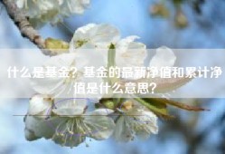 什么是基金？基金的最新净值和累计净值是什么意思？
