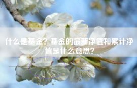 什么是基金？基金的最新净值和累计净值是什么意思？