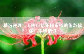 精选整理！无需征信不用审核的借款软件，不容错过