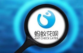 买房时打个人征信，银行因使用花呗过多拒绝贷款，这该怎么办？