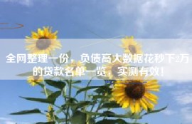 全网整理一份，负债高大数据花秒下2万的贷款名单一览，实测有效！