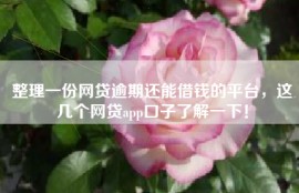 整理一份网贷逾期还能借钱的平台，这几个网贷app口子了解一下！