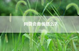 网贷会查征信么？