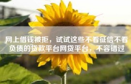 网上借钱被拒，试试这些不看征信不看负债的贷款平台网贷平台，不容错过