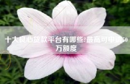 十大良心贷款平台有哪些?最高可申请50万额度