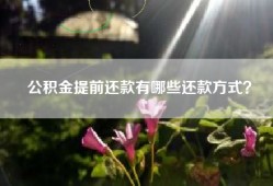 公积金提前还款有哪些还款方式？