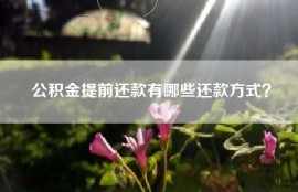 公积金提前还款有哪些还款方式？