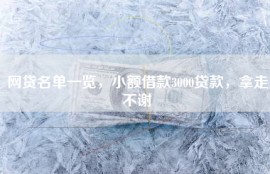 网贷名单一览，小额借款3000贷款，拿走不谢