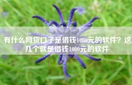 有什么网贷口子是借钱1000元的软件？这几个就是借钱1000元的软件