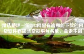 精选整理一份2022网黑有逾期能下款的网贷软件有哪些贷款平台名单，拿走不谢