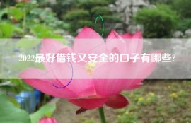 2022最好借钱又安全的口子有哪些?