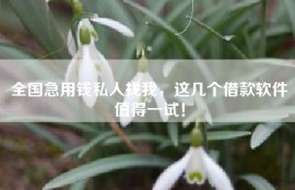 全国急用钱私人找我，这几个借款软件值得一试！