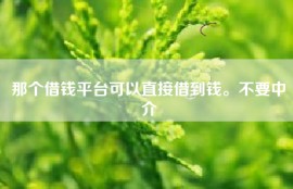 那个借钱平台可以直接借到钱。不要中介