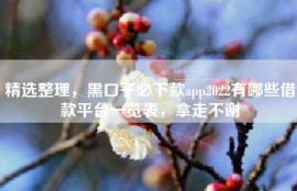 精选整理，黑口子必下款app2022有哪些借款平台一览表，拿走不谢