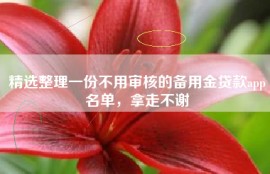 精选整理一份不用审核的备用金贷款app名单，拿走不谢