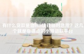有什么贷款是借1000块钱临时急用？这几个就是靠谱点的小额借款平台