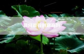 新网银行利息高吗?
