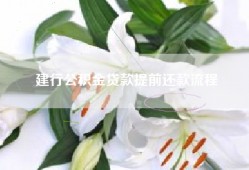 建行公积金贷款提前还款流程