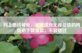 网上借钱被拒，试试这些无视征信的网贷必下款贷款，不容错过