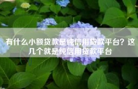 有什么小额贷款是纯信用贷款平台？这几个就是纯信用贷款平台
