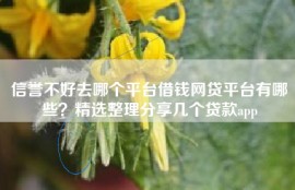 信誉不好去哪个平台借钱网贷平台有哪些？精选整理分享几个贷款app